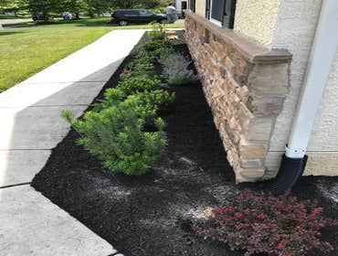 Photos by Ed Francos Simply Green, LLC #1