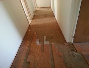Laminate Flooring - Before