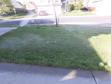 Photos by Summer Sprinklers & Repair #1