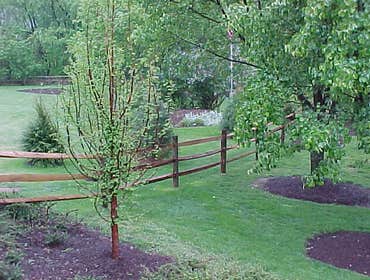 Fences