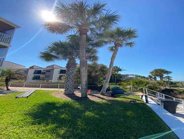 Photos by Arbobella Tree Service #1