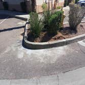 Photos from Arizona Sunscape Lawn Maintenance Llc