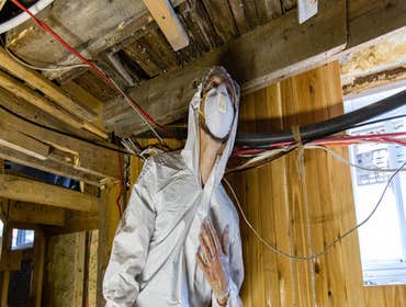 Photos by Pure Maintenance Mold Remediation - Palm Beach #1