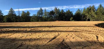 Land Clearing