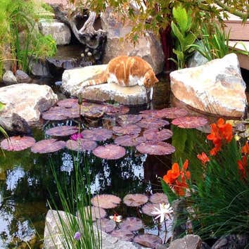 Photo(s) from Frenchs Waterscapes