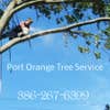 Port Orange Tree Service logo