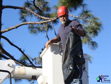 Photos by Estates Tree Service #1
