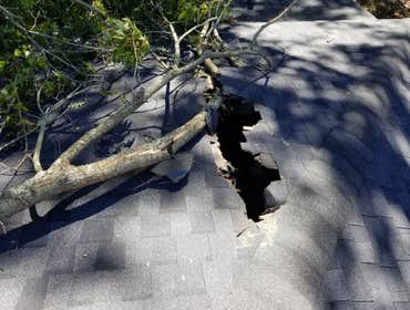 Photos by Beaver Lake Tree Service, Inc #7