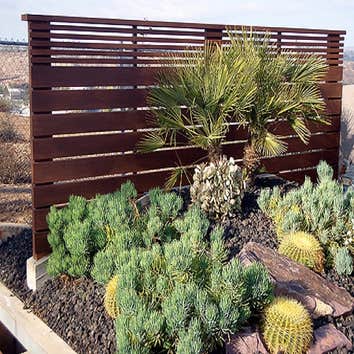 Waterwise Landscaping Ideas