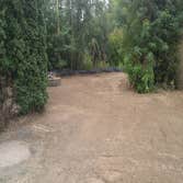 Graded for Hydroseed