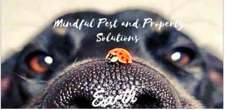 Mindful Pest & Property Solutions, LLC