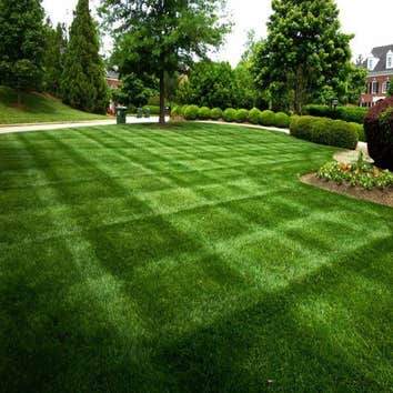 Photos from Alternative Earthcare Tree & Lawn Systems Inc