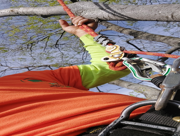 Photos by Chavezm Tree Service #7