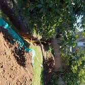 Gas line repair/replacement