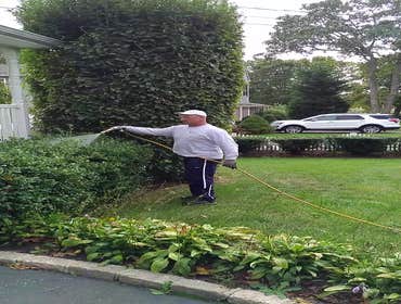 Photos by Plant Care Solutions Inc #1