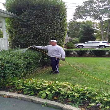 Photos by Plant Care Solutions Inc #1