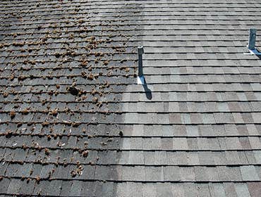Photos by North West Fresh Roof #1