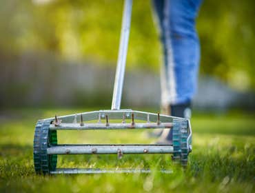 Photos by Lawn Care North Carolina #1