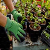 Photos by Bermudez Gardening Services #3