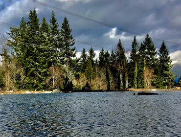 Photos by Avalon Aquatics Inc #2