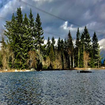 Photos by Avalon Aquatics Inc #2