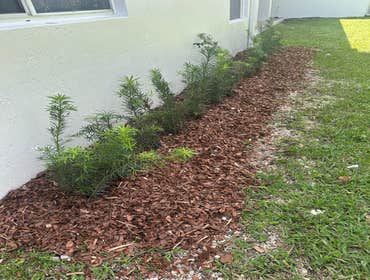 The Grace Landscaping LLC