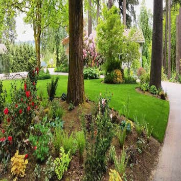 White Oak Landscapes