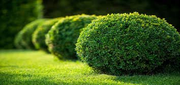 Photos by Gerardo Lawn and Landscaping #1