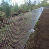 on the Line Fencing