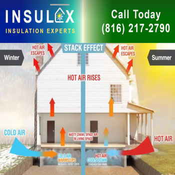Insulex Insulation