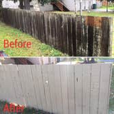 Staining