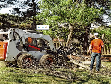 Photos by Burbank Tree Professionals #1