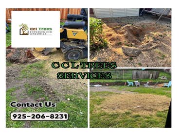 Photos by Ccl Trees Services #1