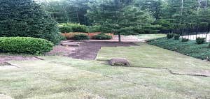 Photos by Turf Works #1