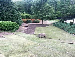 Photos by Turf Works #1