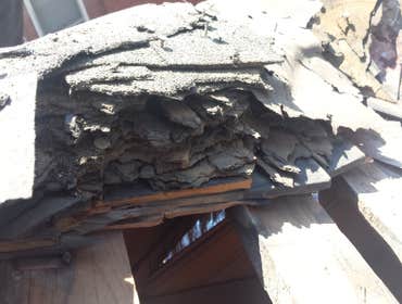 Photos by Integrity Roofing & Construction #1