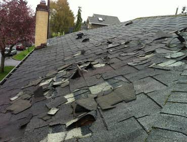 Hail damage repair and inspection