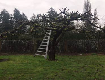 Photos by Best Cuts Lawn Care #1