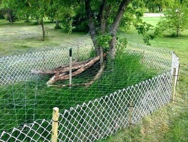 Fences