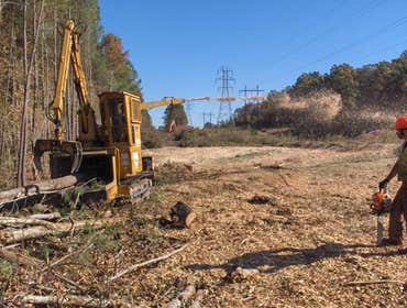 Tree & ROW Equipment