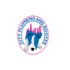 City Plumbing& Rooter logo
