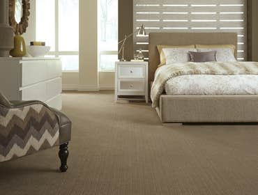 Tuftex carpet & rugs