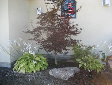 Photos from Natural Lawns and Landscape
