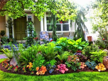 Photos by Mercy Garden Nursery #1
