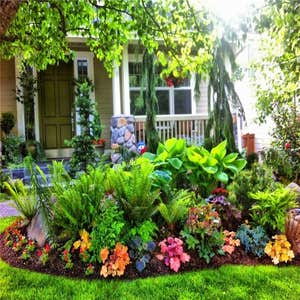 Photos by Mercy Garden Nursery #1
