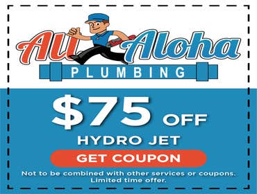 Photos by All Aloha plumbing and Drain Cleaning #1