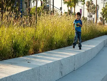 Landscape Designs