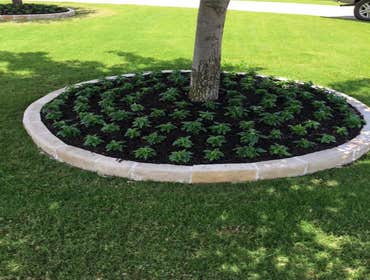 Photos by Lawn Ready LLC #1