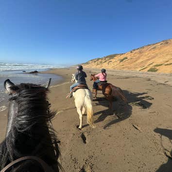 Photos by Second Chance Ranch #1