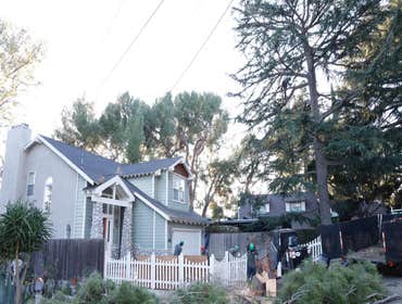 Photos by California Green Tree Care #1